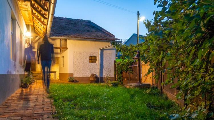 Cejkovicky Domek Cejkovice (Hodonin) Exterior foto